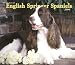 For The Love Of English Springer Spaniels 2006 Calendar