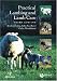 Practical Lambing and Lamb Care: A Veterinary Guide