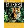 Eyewitness Interactive - Rainforest [2002]