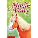 Pet Rescue (Magic Pony)