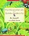 The Wonderful Life of a Fly Who Couldn't Fly by Bo Lozoff ISBN 1571742867