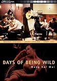 Days of Being Wild