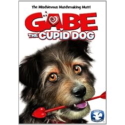 Gabe the Cupid Dog