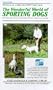 The Wonderful World of Sporting Dogs (A Bird Dog Puppy's First Year) [VHS]