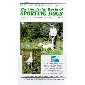 Buy The Wonderful World of Sporting Dogs (A Bird Dog Puppy's First Year) now!