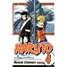 Naruto, Vol. 4: The Next Level