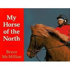 My Horse of the North