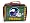 Minnesota Vikings