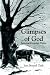 Book Glimpses of God: Seasonal Christian Poems