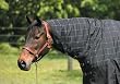 TuffRider 1680D Integrated Neck Thermo Manager Lined Blanket
