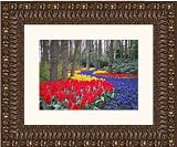 Picture Frame Gold w/ Red Deep Compo .. 3.375'' wide