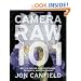 Camera RAW 101: Better Photos with Photoshop, Elements, and Lightroom