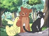 Duck Loses Her Quack/Feathers In A Bunch/Detective Little Bear