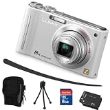 Panasonic Lumix ZX3 silber + Mega Zubehör (8GB + Tasche + 2Akkus + KFZ )