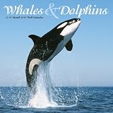 WHALES and DOLPHINS 2010 Wall Calendar