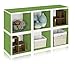 Way Basics Eco Stackable Storage Cube, Cubby Organizer (Tool-Free Assembly and Uniquely Crafted from Sustainable Non Toxic zBoard paperboard), Green