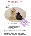 Advanced Needle Felted Yorkie Course: Artists Needle Felting Secrets Revealed