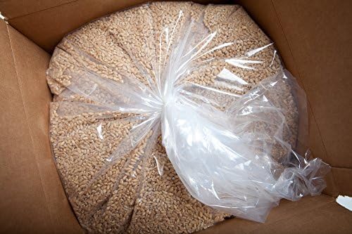 100% Natural Hard White Wheat Berries, 37 lb, Non-GMO, Insecticide Free, Fungicide Free, Glyphosate Free, Non-Irradiated, Triple Cleaned, Farm Fresh, Grown in Southern Idaho USA, Woodland Wheat