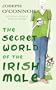 The Secret World of the Irish Male
