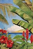 Penny Gupton (Tropical Horizons II) Art Poster Print - 24 X 36