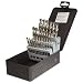 Precision Twist C29R40 High Speed Steel Short Length Drill Bit Set, Uncoated (Bright) Finish, 118 Degree Conventional Point, Inch, 29 piece, 1/16" to 1/2" x 64ths