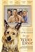 Because of Winn Dixie - Movie Poster / Print -- Custom Framing Available