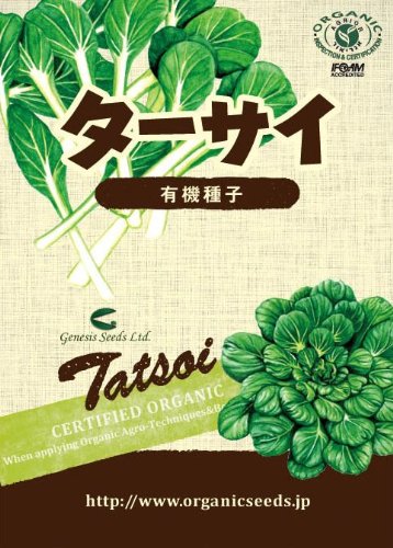 【家庭菜園におすすめ】有機種子　ターサイ
