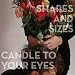 Too Late for Dancing - Shapes and Sizes