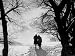 View of Students Walking on the Campus of Uppsala University Photographic Poster Prin...
