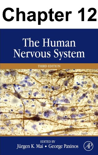 Chapter 012, Locus Coeruleus