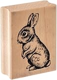 Inkadinkado Mounted Rubber Stamp J-Baby Bunny 2.25"X1.75"
