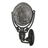 Fanimation FPH210PW Old Havana Pewter Fan 19 Blade Span