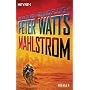 Mahlstrom: Roman