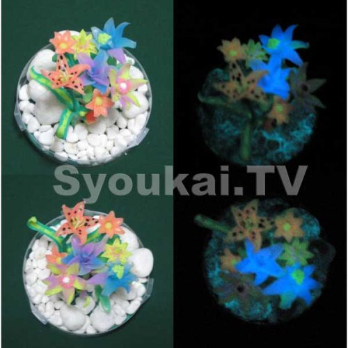 Cover image : ホタルーン蓄光粘土７色＋シリコン粘土（ホワイト）セット　50g　８種
