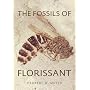 Fossils Of Florisant by Hw Meyer