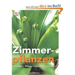 Zimmerpflanzen: Auswahl, Pflege, Gestaltungsideen