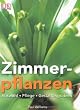 billige zimmerpflanzen
