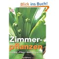 Zimmerpflanzen: Auswahl, Pflege, Gestaltungsideen