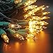 Zitrades Christmas Lights 100 Count Clear Bulbs Mini String Lights Set for Seasonal Decorative Christmas Holiday Wedding Parties Halloween with Warm White Indoor Outdoor Lighting Green Wire