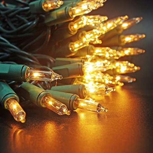 Zitrades Christmas Lights 100 Count Clear Bulbs Mini String Lights Set for Seasonal Decorative Christmas Holiday Wedding Parties Halloween with Warm White Indoor Outdoor Lighting Green Wire