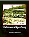 Yesteryear at the Uniontown Speedway: and Summit Mountain Hill Climbs (Volume 1)