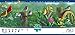 Buffalo Games Panoramic: Meadow's Edge - 750 Piece Jigsaw Puzzle by Buffalo Games