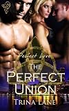 The Perfect Union (Perfect Love)