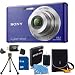 Sony Cyber-Shot DSC-W530 14.1 MP Digital Still Camera with Carl Zeiss Vario-Tessar 4x Wide-Angle Optical Zoom Lens and 2.7-inch LCD (Blue) with 8 GB Memory Card, Battery, Camera Carrying Case, Memory Card Reader, Mini Tripod, and Cleaning Kit