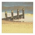 Shoreline Artwork