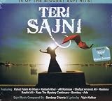 Teri Sajni