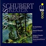Schubert: Songs / Lieder Arranged for Orchestra by Max Reger
