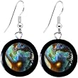 Rounded Paua Shell Earrings