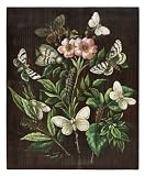 51JcIUYREhL. SL160  HomArt Post and Quill Painting on Rustic Wood, Feathers, 14 by 14 Inch