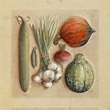 Vegetables II, Cucumbers Art Poster Print by Laurence David, 8x8 51JcJW9zVQL. SL160 Vegetables II, Cucumbers Art Poster Print by Laurence David, 8x8